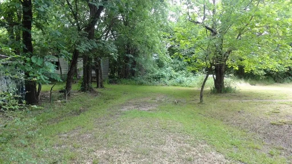Picture 8