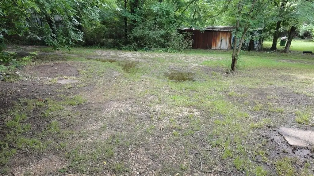 Picture 7