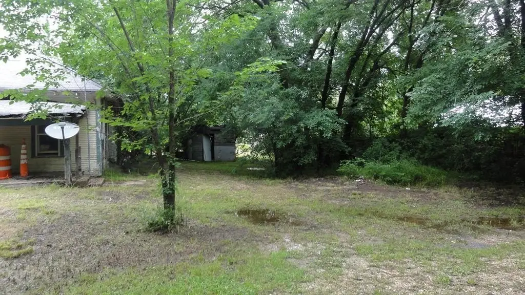 Picture 3