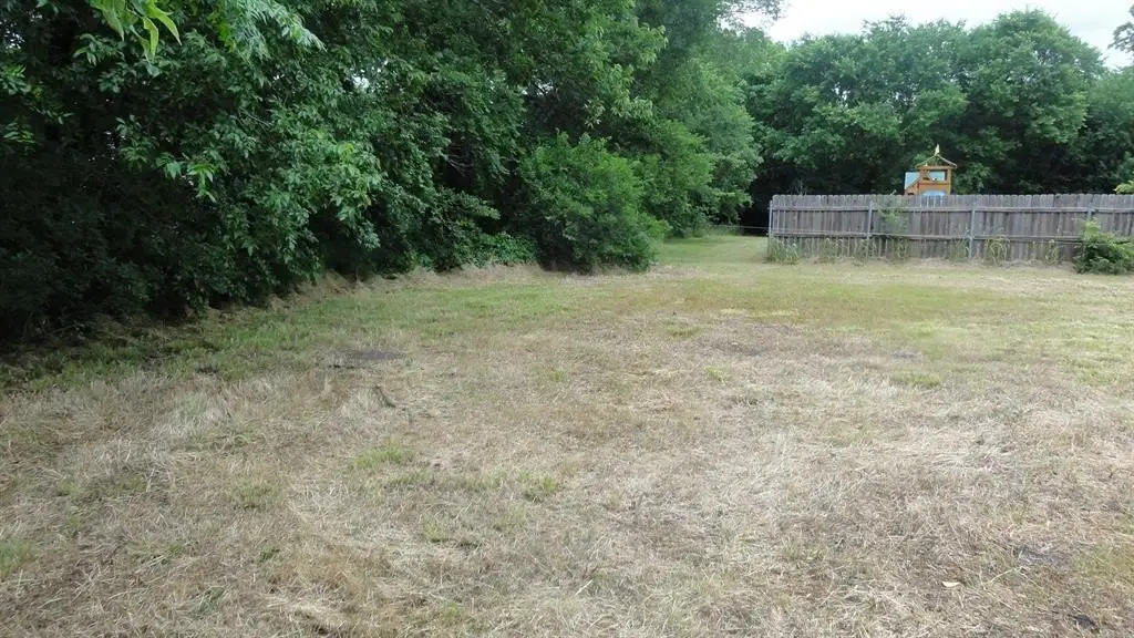 Picture 10