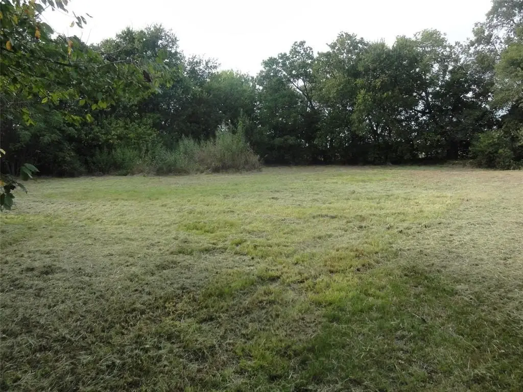 Picture 14