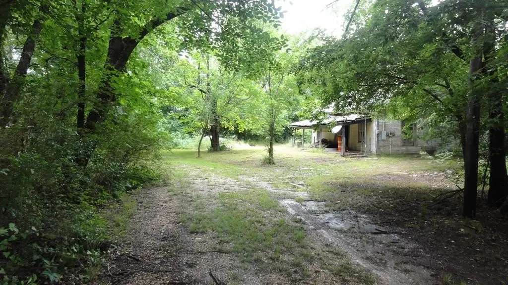 Picture 6