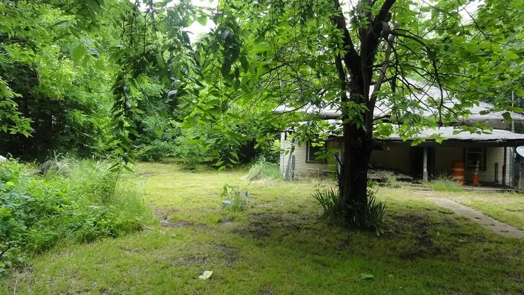 Picture 2