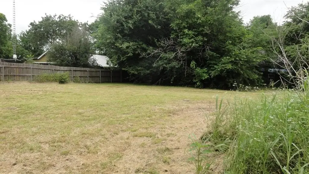Picture 13