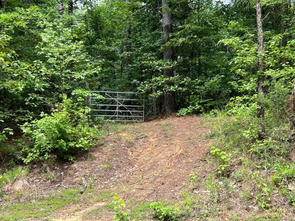 Picture 29