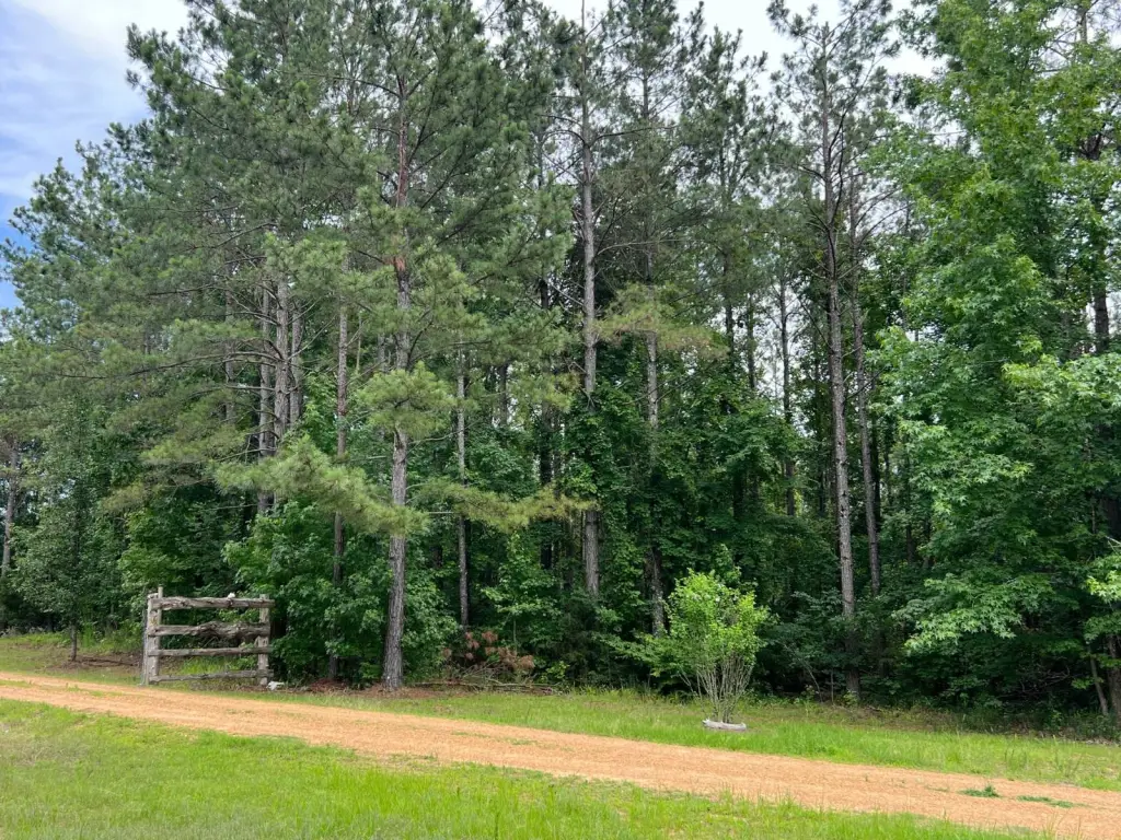 Picture 28