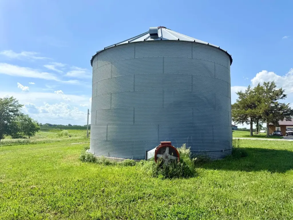 Picture 18