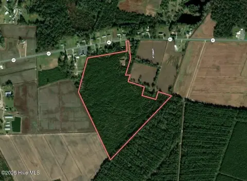 Trenton, NC Recreational/Residential Land