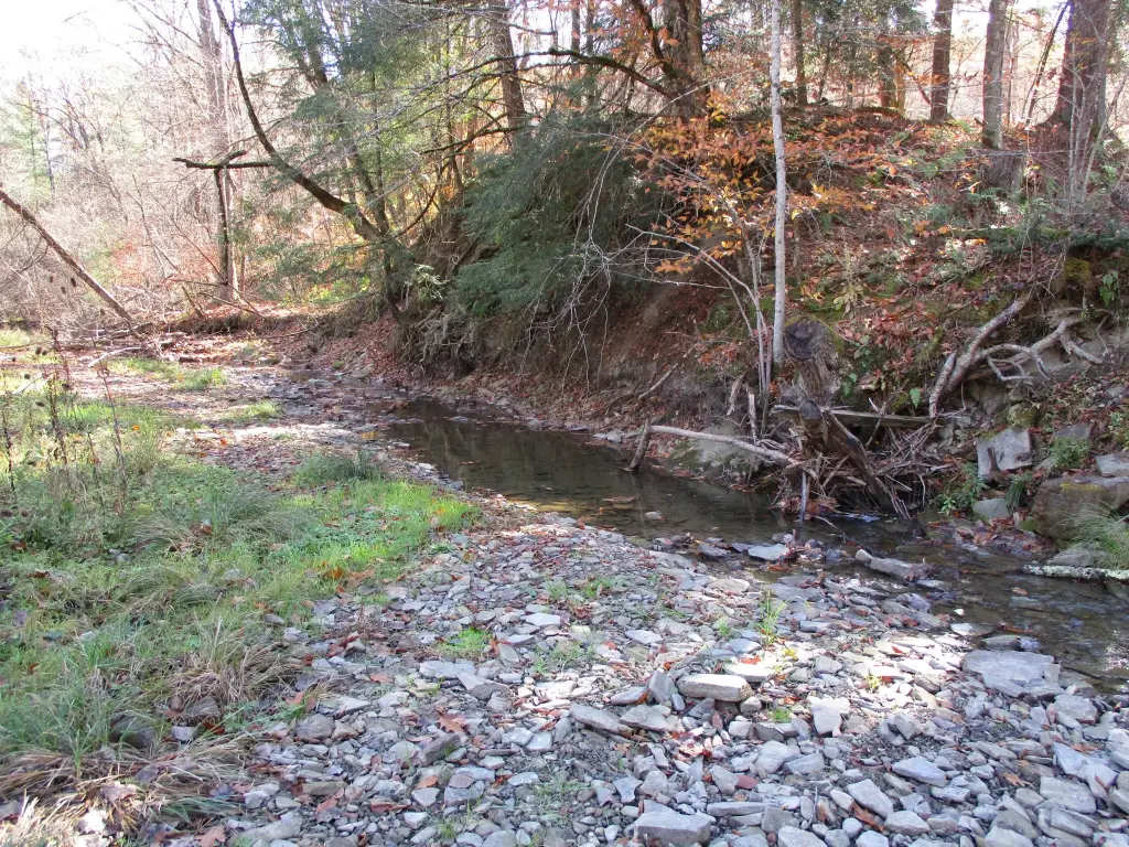 Picture 13
