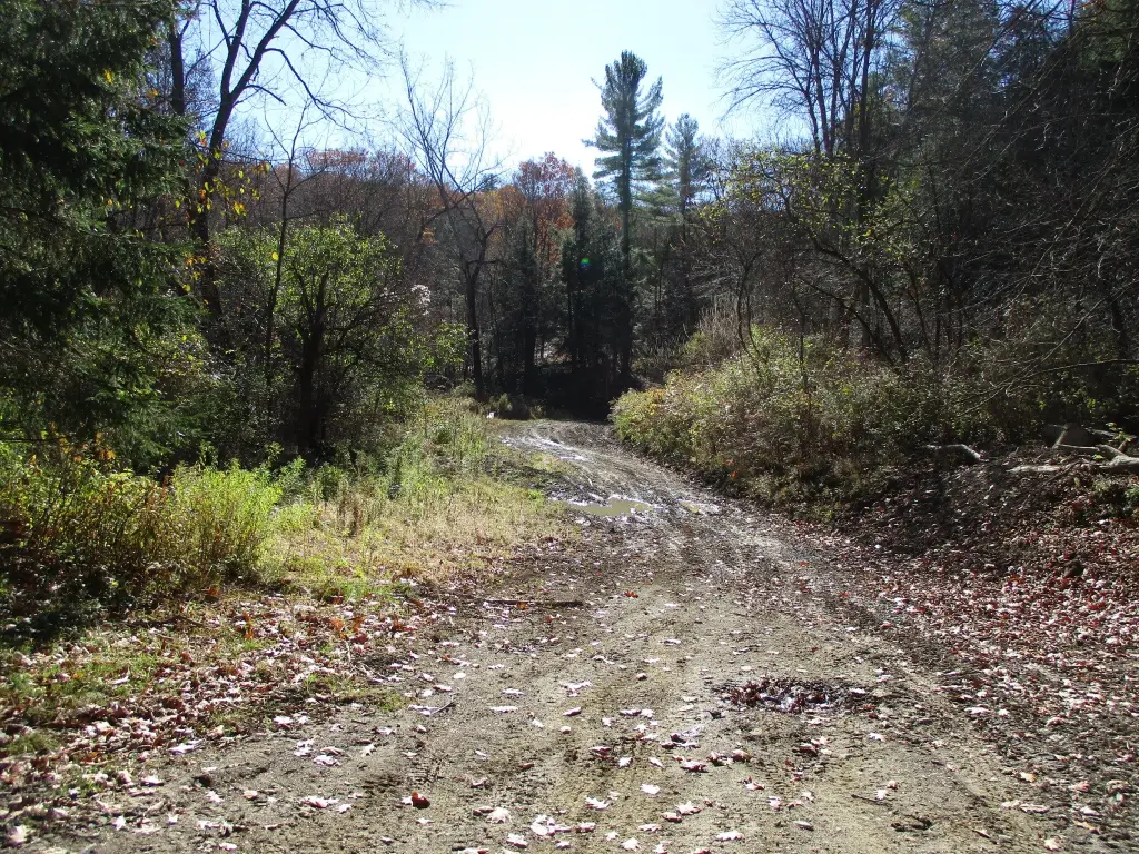 Picture 11