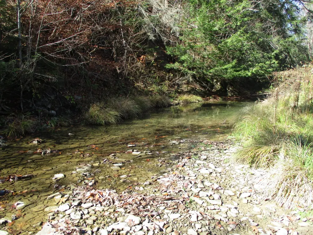 Picture 12
