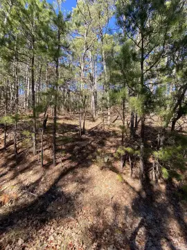 Residential Lot Near Golf Course