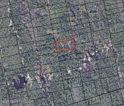 Mims, FL Raw Land