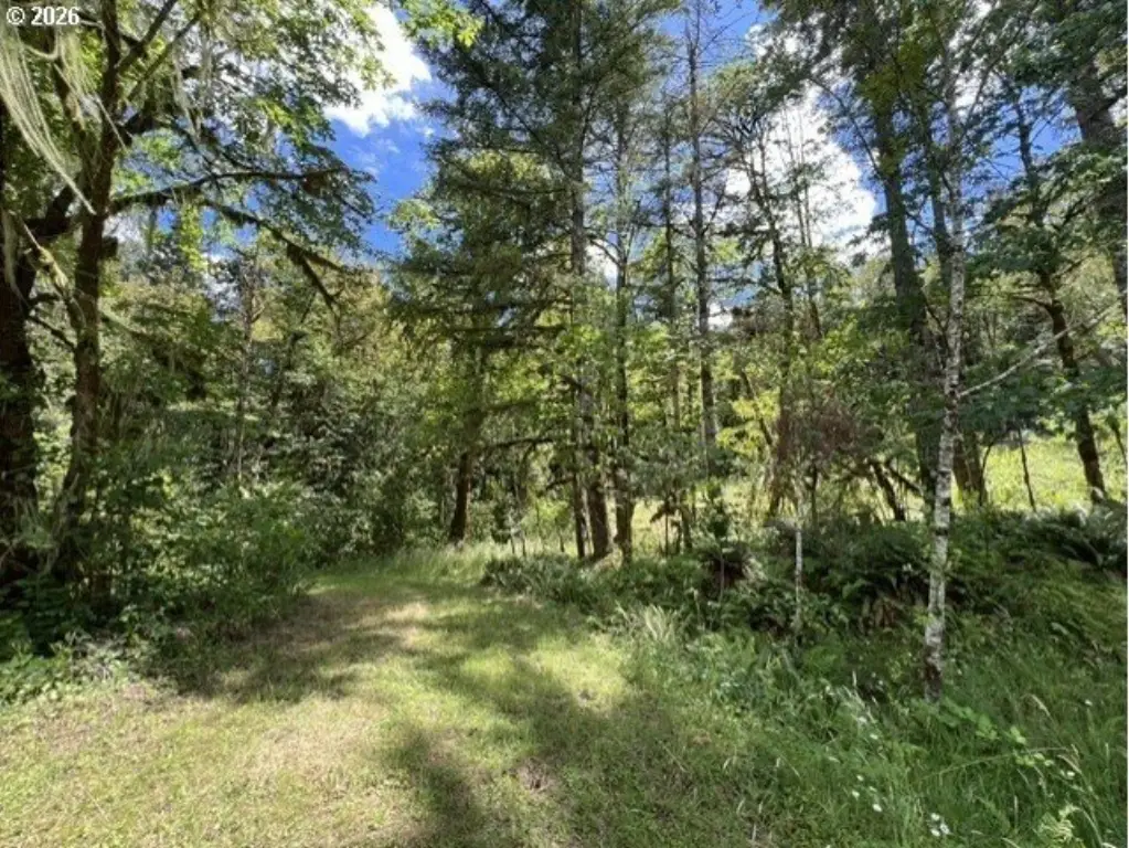 Picture 39