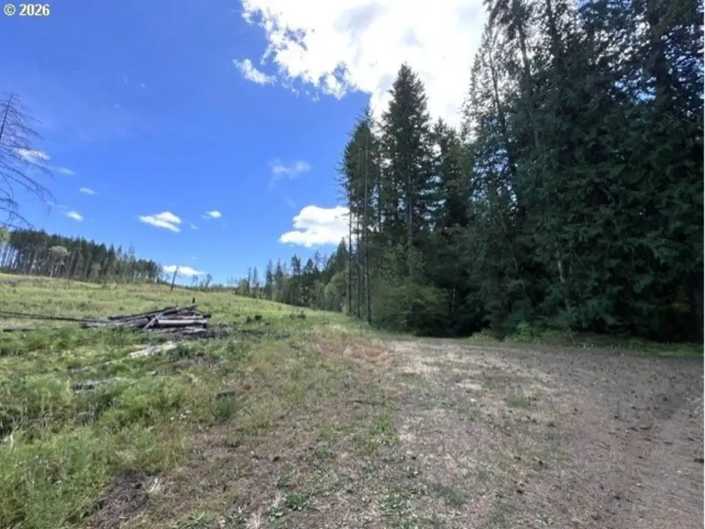 Picture 47