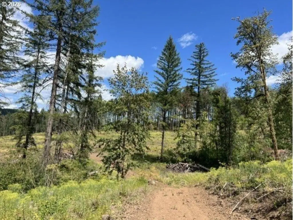 Picture 36