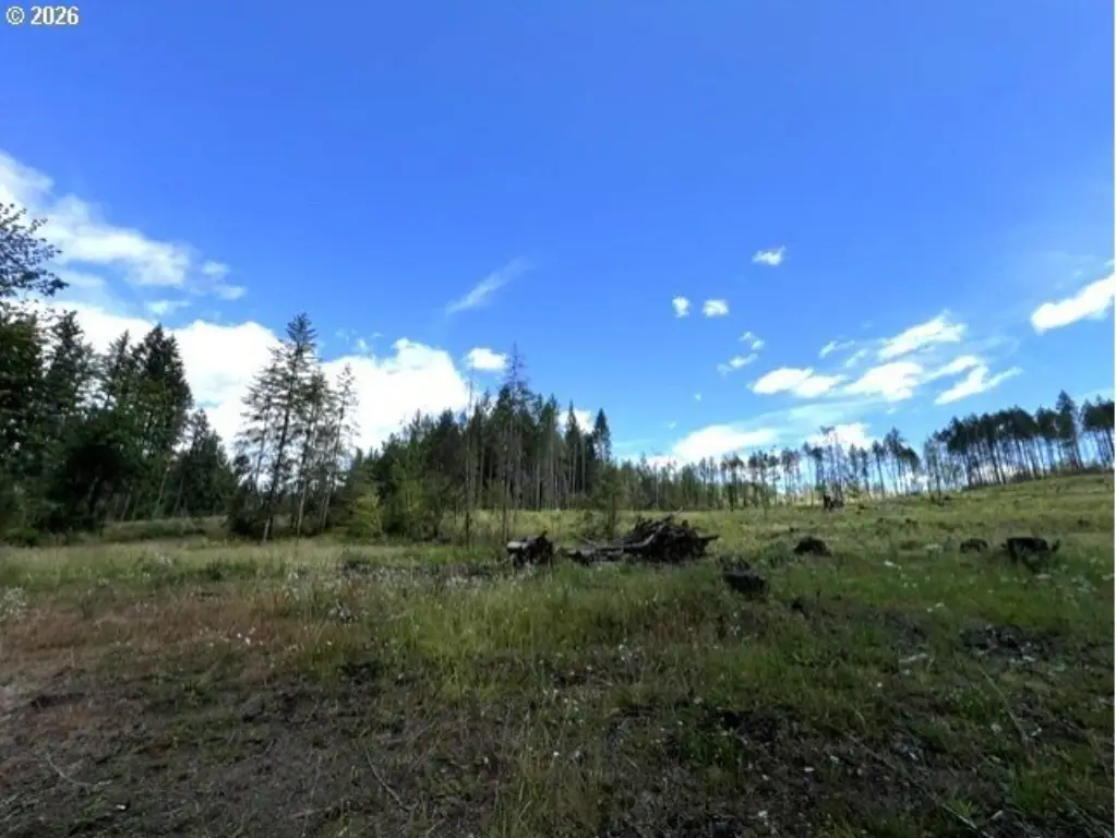 Picture 45