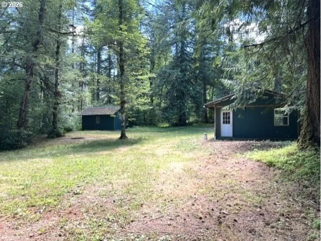 Picture 7