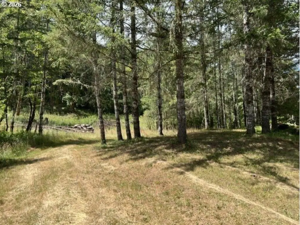 Picture 38