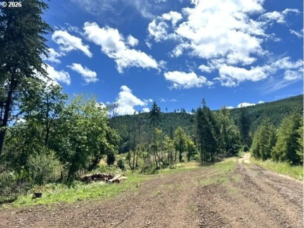 Picture 42