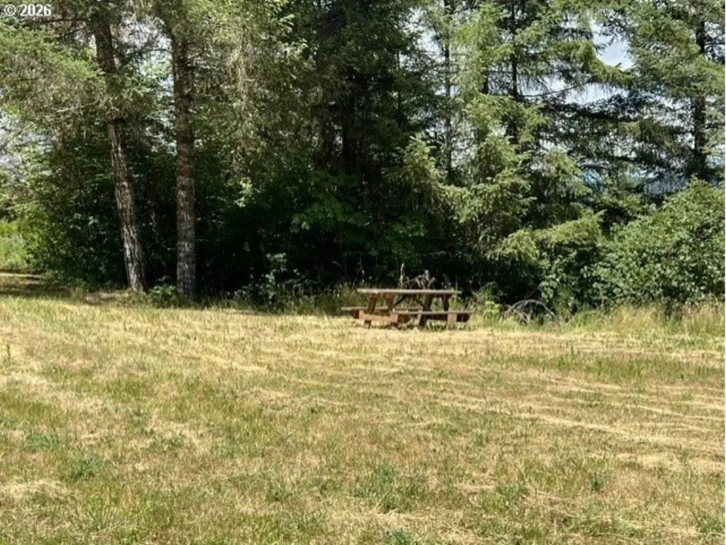 Picture 23