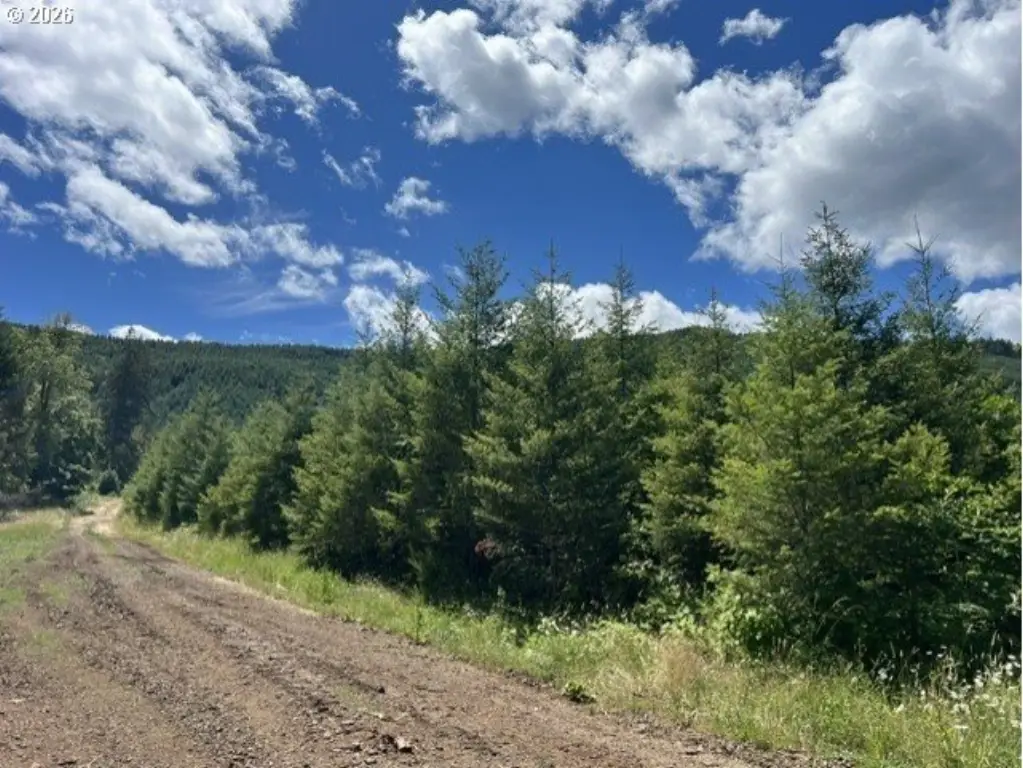 Picture 41