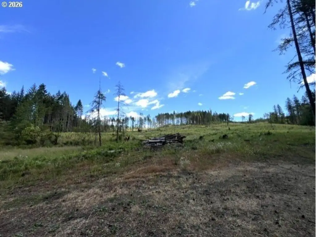 Picture 46