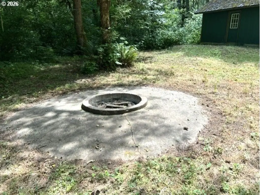 Picture 13