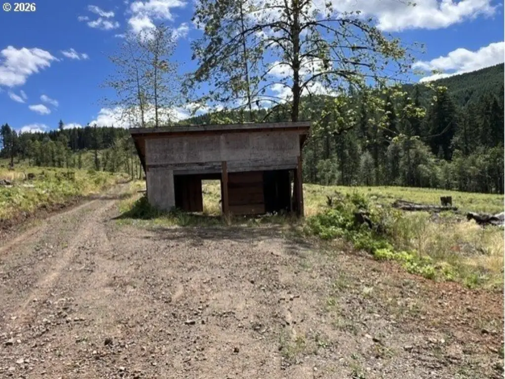 Picture 30