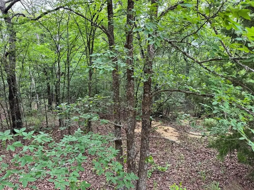 Picture 2