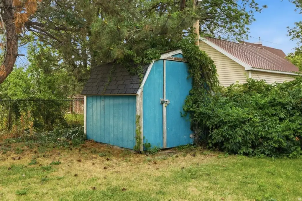 Picture 23