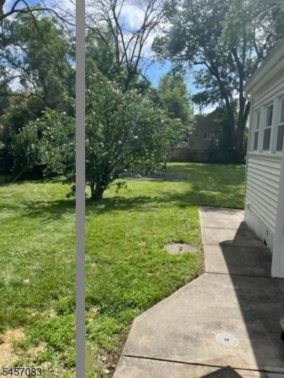 Picture 19