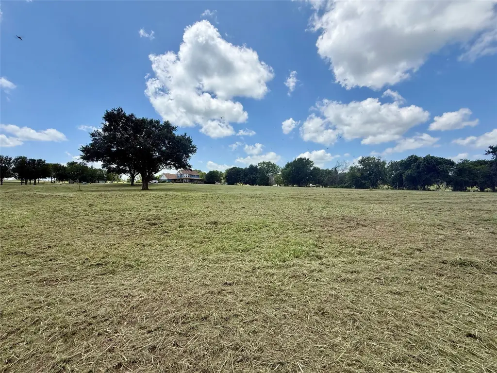 Picture 8