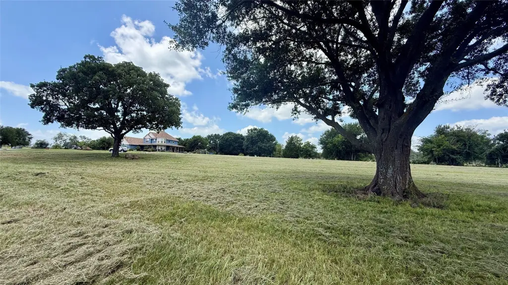 Picture 19