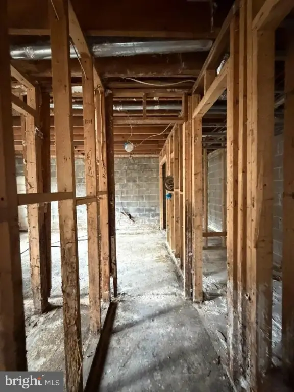 Picture 23