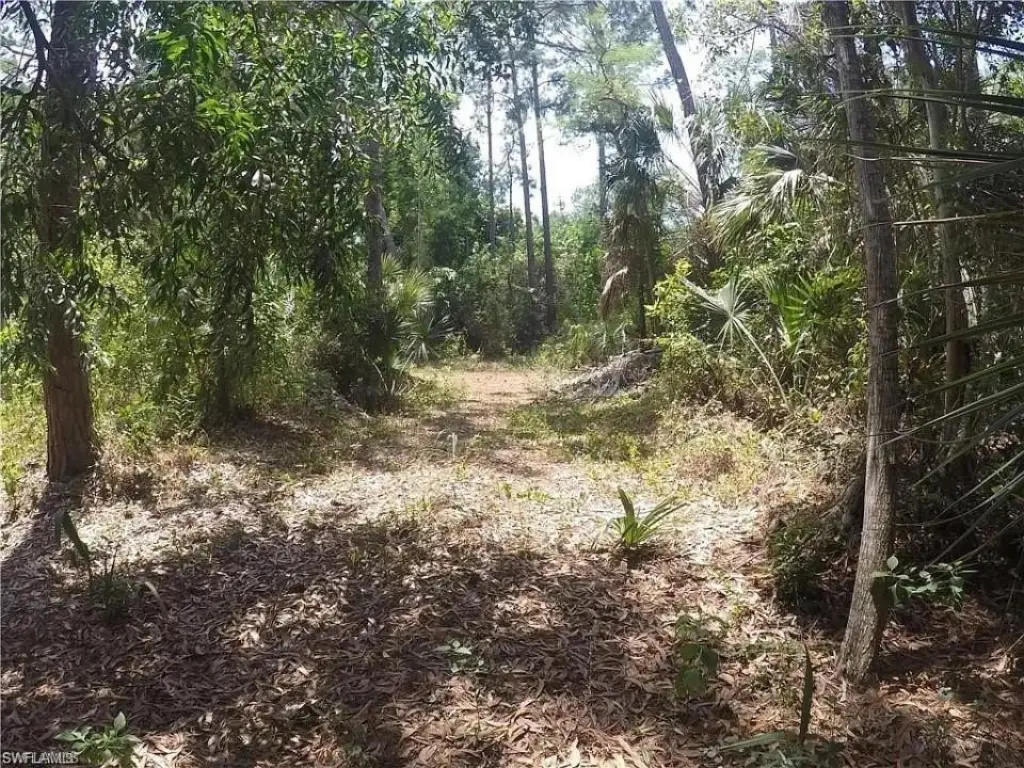Picture 5