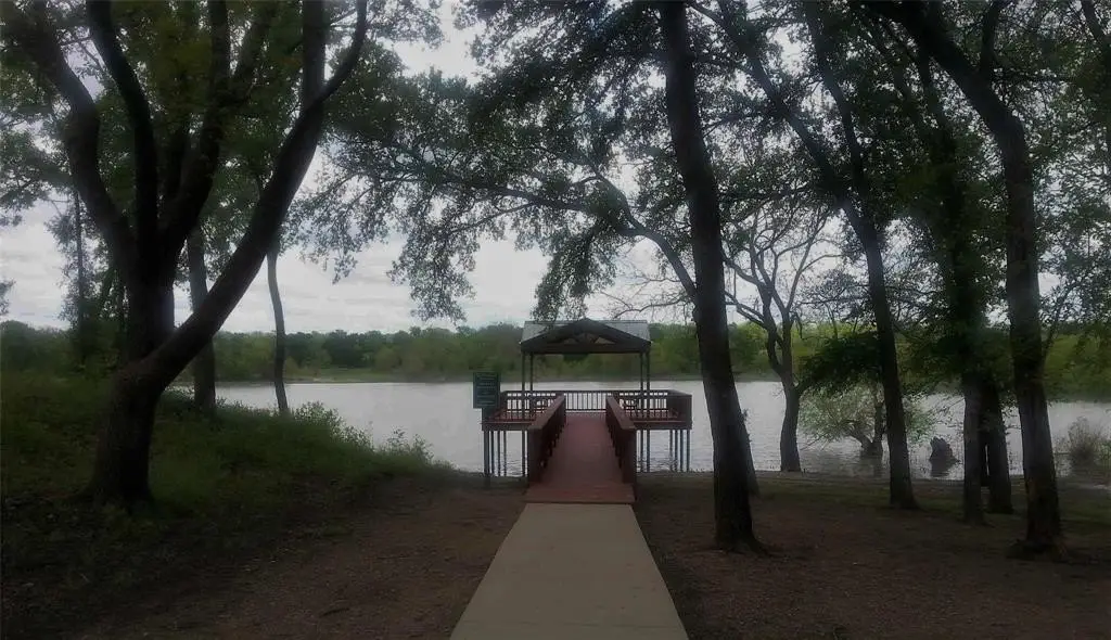 Picture 7
