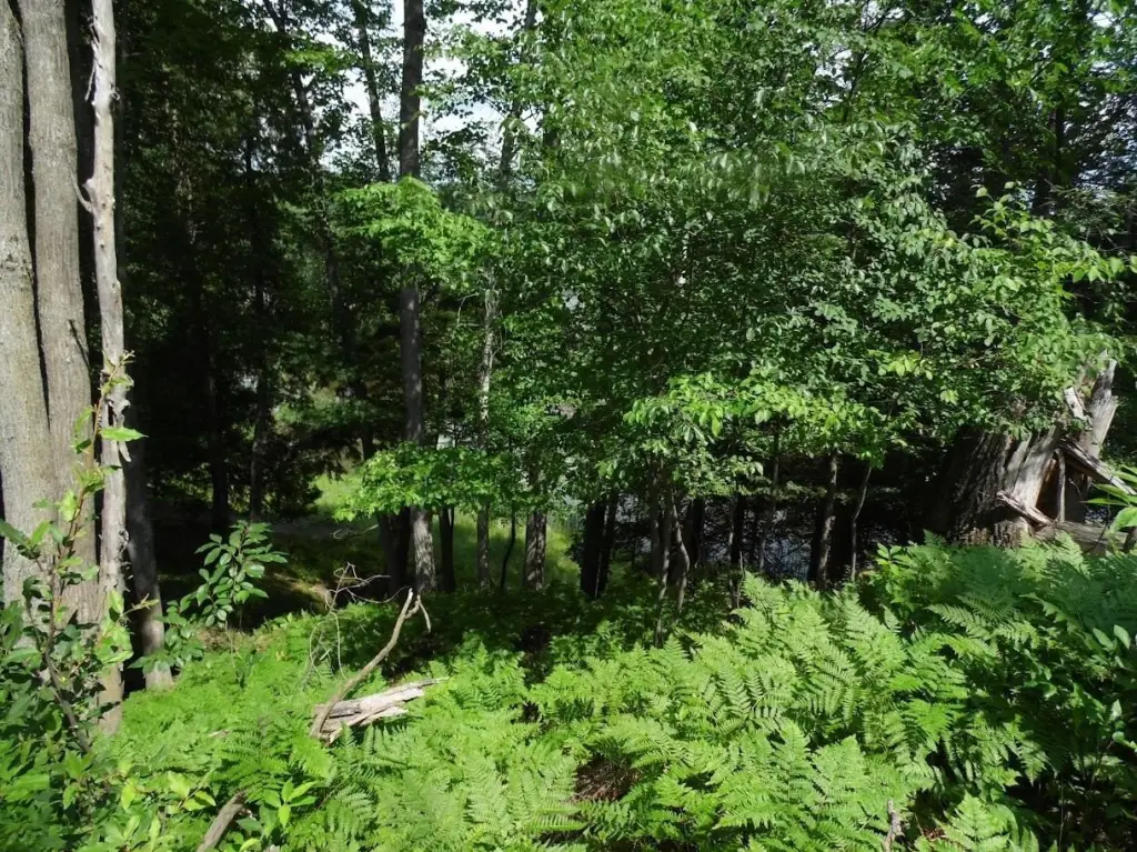 Picture 22