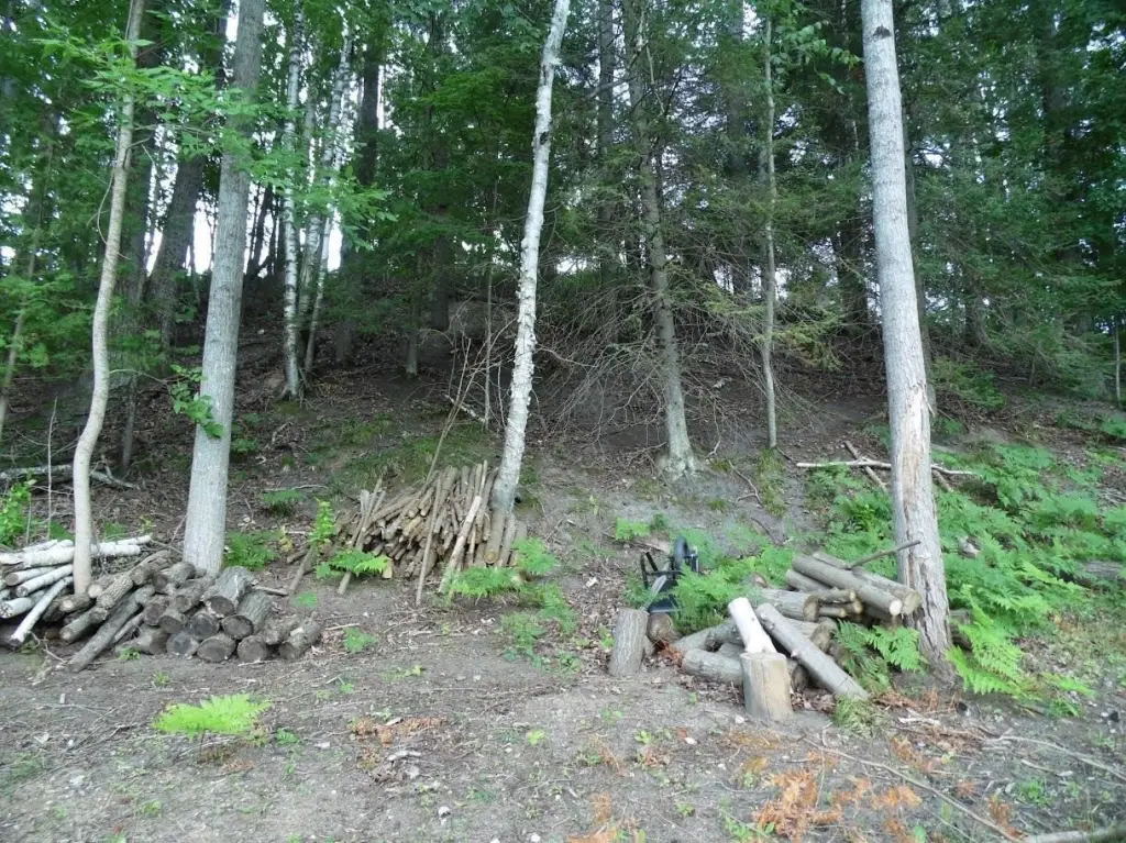 Picture 38