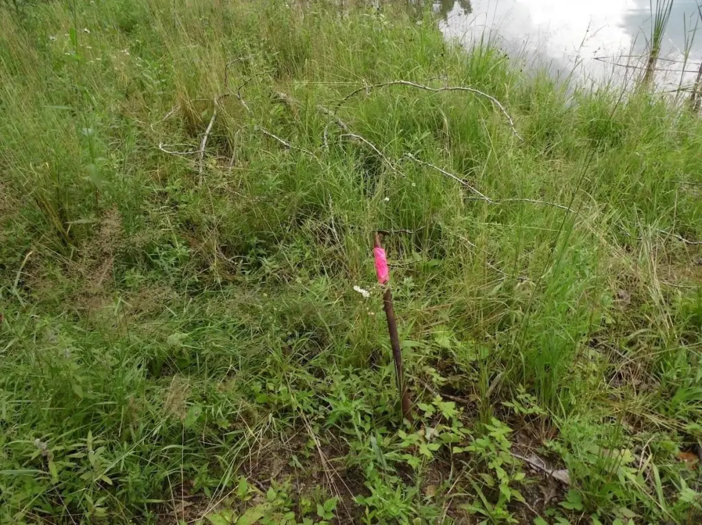 Picture 27