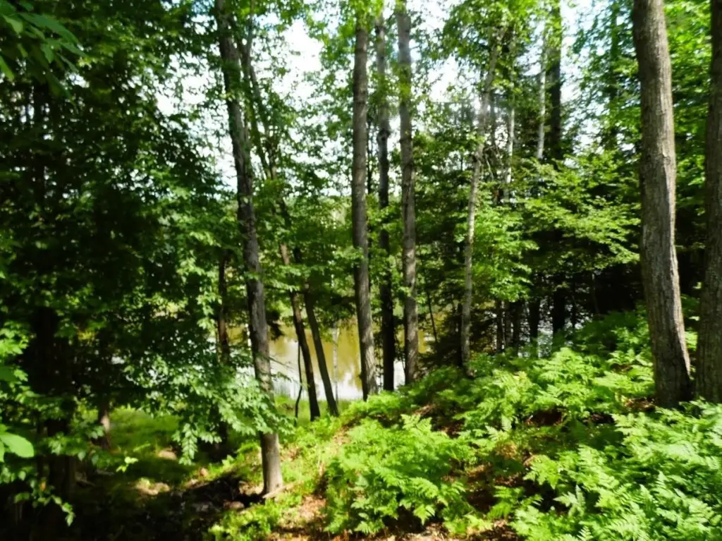 Picture 23