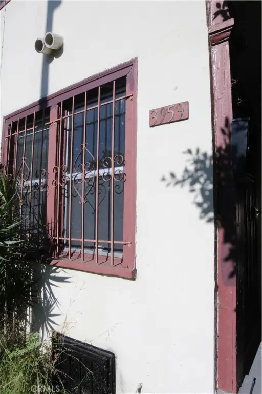 Picture 13
