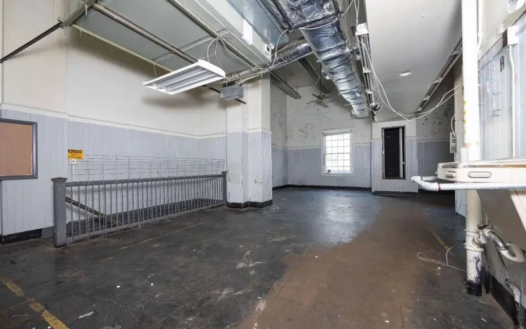 Picture 5