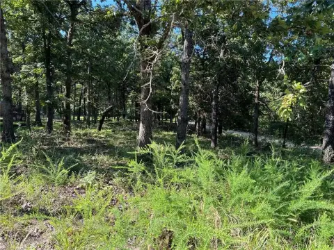 Diamond City Corner Lot