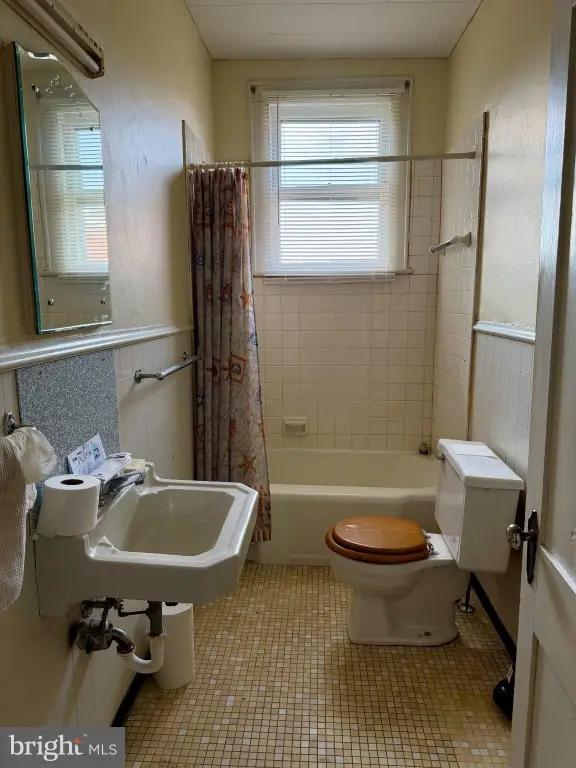Picture 16