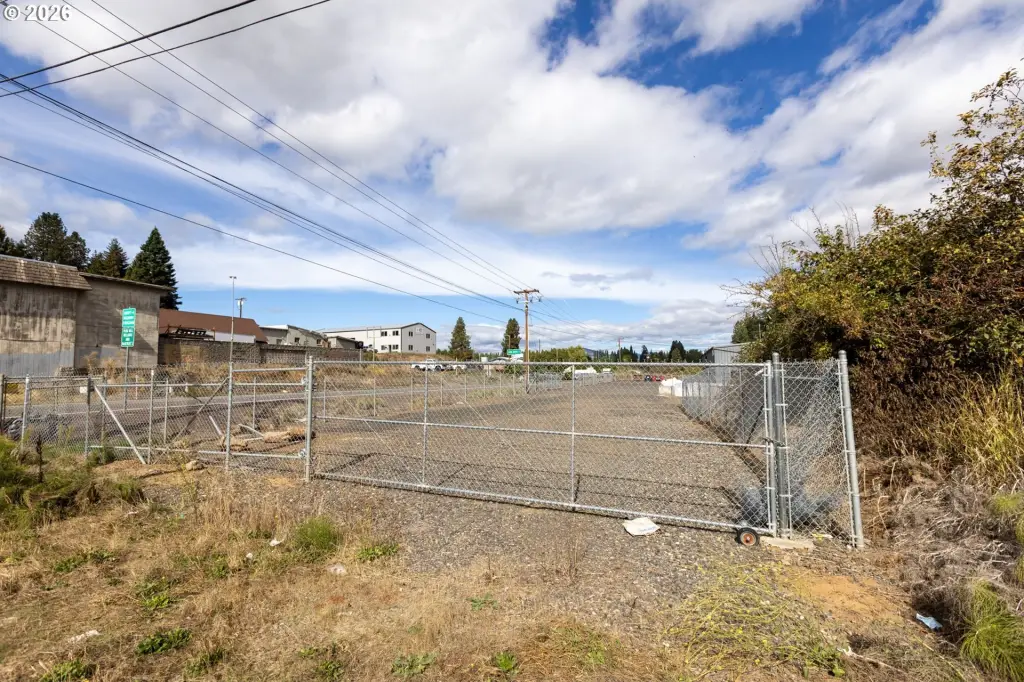 Picture 18