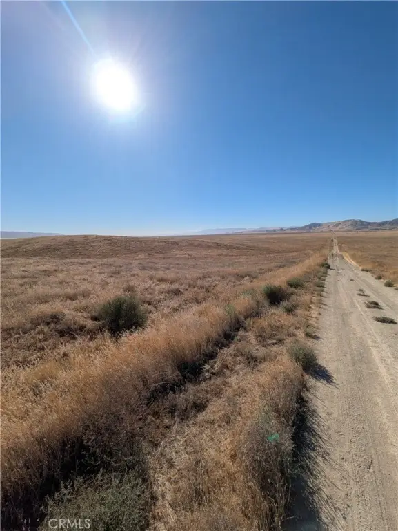 Picture 2