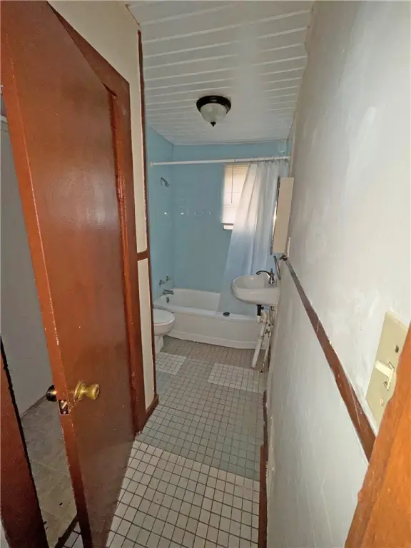 Picture 19