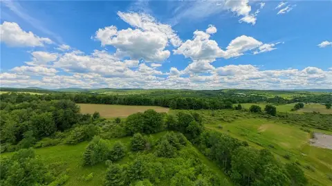 Hunting Land with Year-Round Creek