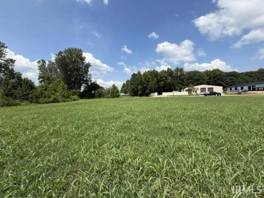 Picture 6